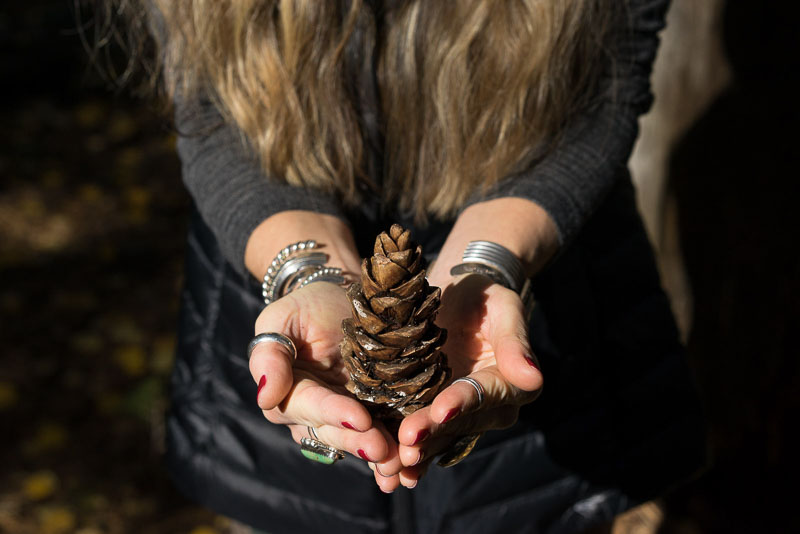 PineCone_LockettMeadow_Blotto_00218